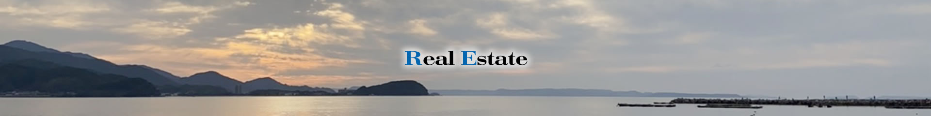 Real Estate